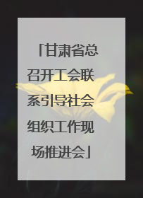 甘肃省总召开工会联系引导社会组织工作现场推进会