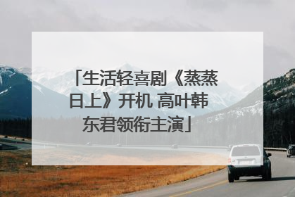 生活轻喜剧《蒸蒸日上》开机 高叶韩东君领衔主演