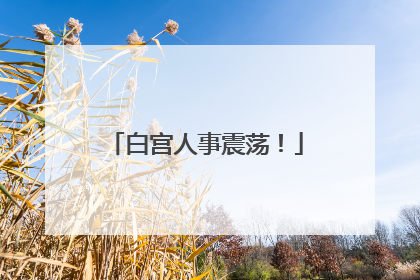 白宫人事震荡！