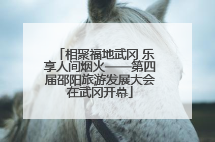 相聚福地武冈 乐享人间烟火——第四届邵阳旅游发展大会在武冈开幕