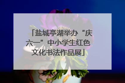 盐城亭湖举办“庆六一”中小学生红色文化书法作品展