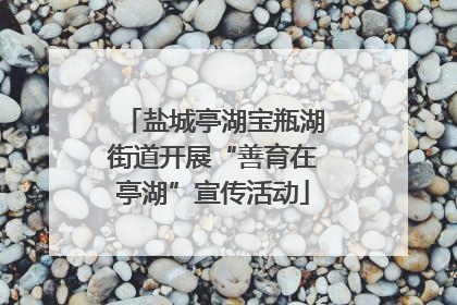 盐城亭湖宝瓶湖街道开展“善育在亭湖”宣传活动