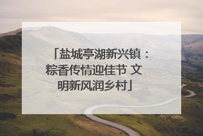 盐城亭湖新兴镇：粽香传情迎佳节 文明新风润乡村