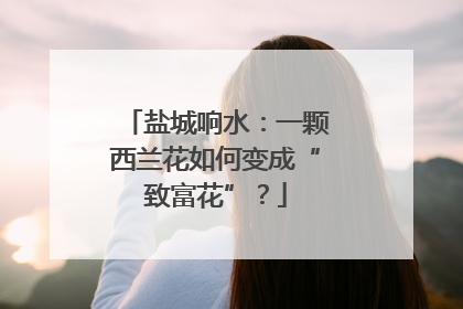 盐城响水：一颗西兰花如何变成“致富花”？