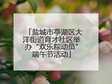 盐城市亭湖区大洋街道育才社区举办“欢乐粽动员”端午节活动