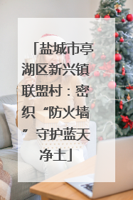 盐城市亭湖区新兴镇联盟村：密织“防火墙”守护蓝天净土
