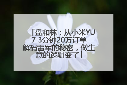 盘和林：从小米YU7 3分钟20万订单解码雷军的秘密，做生意的逻辑变了