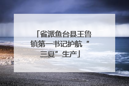 省派鱼台县王鲁镇第一书记护航“三夏”生产
