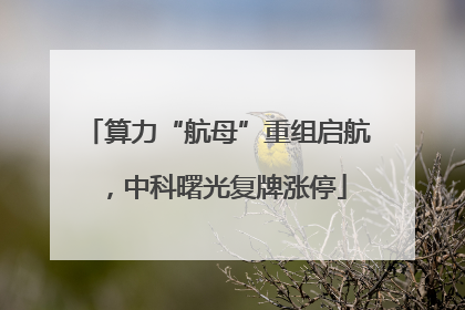 算力“航母”重组启航，中科曙光复牌涨停