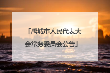 禹城市人民代表大会常务委员会公告