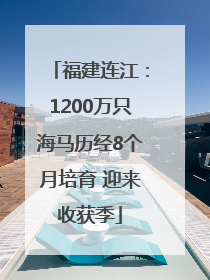 福建连江：1200万只海马历经8个月培育 迎来收获季