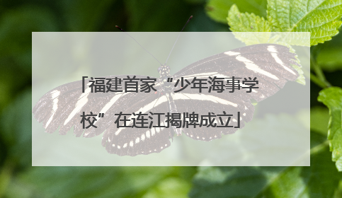 福建首家“少年海事学校”在连江揭牌成立