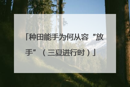 种田能手为何从容“放手”（三夏进行时）