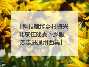 科技赋能乡村振兴 北京住建委下乡服务走进通州西集