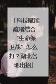 科技赋能 疏堵结合 “生命保卫战”怎么打？湖北各地出招