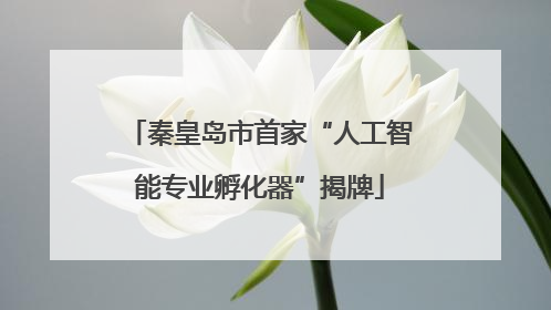 秦皇岛市首家“人工智能专业孵化器”揭牌