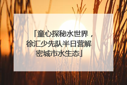 童心探秘水世界，徐汇少先队半日营解密城市水生态