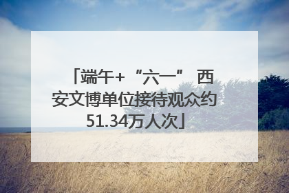 端午+“六一” 西安文博单位接待观众约51.34万人次