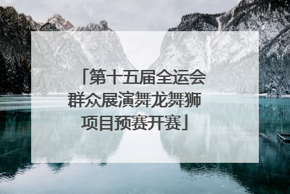 第十五届全运会群众展演舞龙舞狮项目预赛开赛