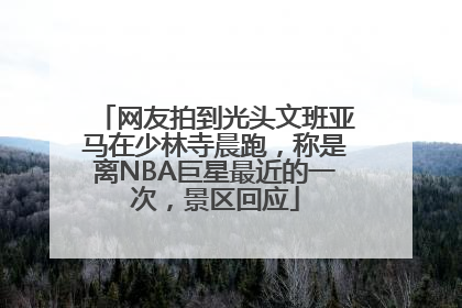 网友拍到光头文班亚马在少林寺晨跑，称是离NBA巨星最近的一次，景区回应