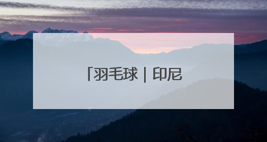 羽毛球｜印尼公开赛：王正行男单首轮晋级