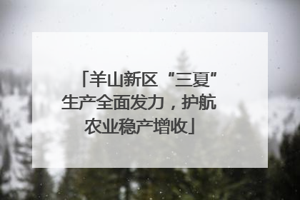 羊山新区“三夏”生产全面发力，护航农业稳产增收