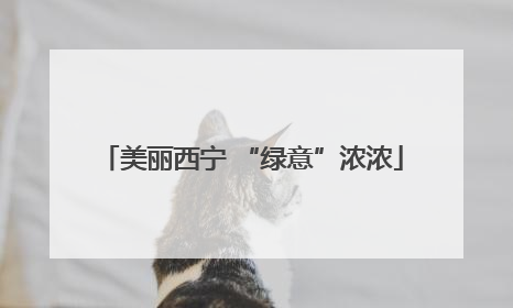 美丽西宁 “绿意”浓浓