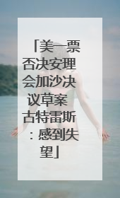 美一票否决安理会加沙决议草案 古特雷斯：感到失望