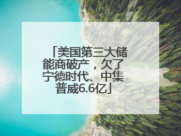 美国第三大储能商破产，欠了宁德时代、中集普威6.6亿