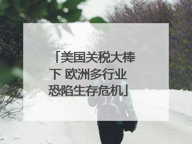 美国关税大棒下 欧洲多行业恐陷生存危机