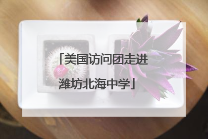 美国访问团走进潍坊北海中学