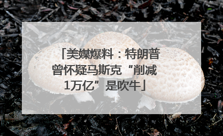 美媒爆料：特朗普曾怀疑马斯克“削减1万亿”是吹牛