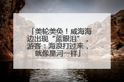 美轮美奂！威海海边出现“蓝眼泪”，游客：海浪打过来，就像星河一样