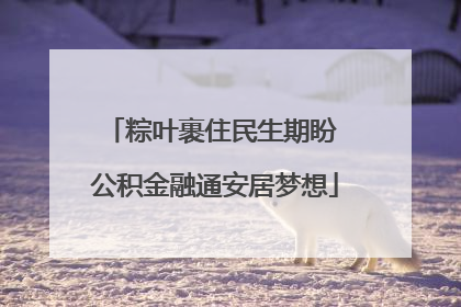 粽叶裹住民生期盼 公积金融通安居梦想