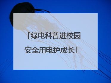 绿电科普进校园 安全用电护成长
