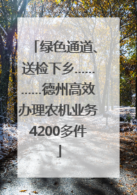 绿色通道、送检下乡…………德州高效办理农机业务4200多件