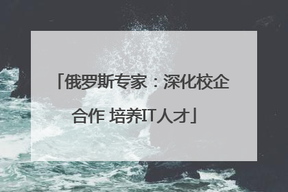 俄罗斯专家：深化校企合作 培养IT人才