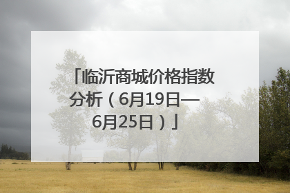 临沂商城价格指数分析（6月19日—6月25日）