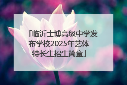 临沂士博高级中学发布学校2025年艺体特长生招生简章