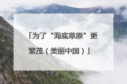 为了“海底草原”更繁茂（美丽中国）