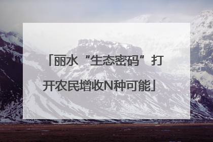 丽水“生态密码”打开农民增收N种可能