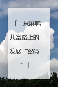 一只麻鸭共富路上的发展“密码”