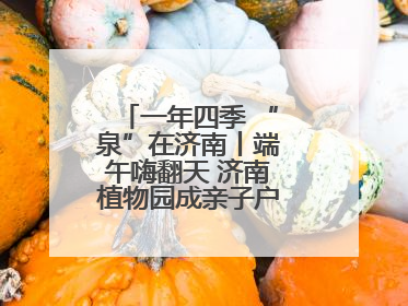 一年四季 “泉”在济南丨端午嗨翻天 济南植物园成亲子户外热门打卡地