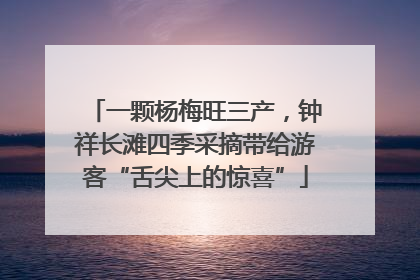 一颗杨梅旺三产，钟祥长滩四季采摘带给游客“舌尖上的惊喜”