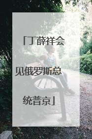 丁薛祥会见俄罗斯总统普京