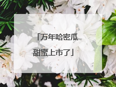 万年哈密瓜甜蜜上市了