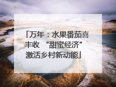 万年：水果番茄喜丰收 “甜蜜经济”激活乡村新动能