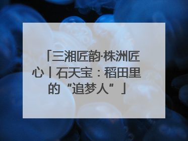 三湘匠韵·株洲匠心丨石天宝：稻田里的“追梦人”