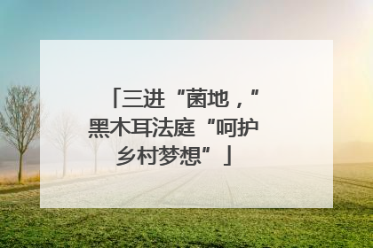 三进“菌地，”黑木耳法庭“呵护乡村梦想”