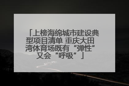 上榜海绵城市建设典型项目清单 重庆大田湾体育场既有“弹性”又会“呼吸”